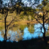 Cecil Hoskins Nature Reserve 2