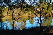 Cecil Hoskins Nature Reserve 2