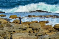 Rock Fishing
