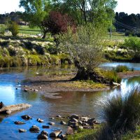 Cecil Hoskins Nature Reserve