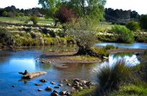 Cecil Hoskins Nature Reserve