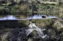 HDR image