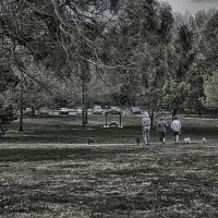 HDR image of seymour park