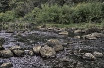 Berrima NSW creek