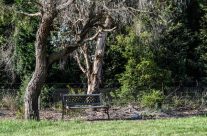 Bench