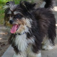 Tiny but awesome little fella