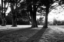 Light and shadows