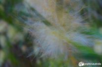 Motion