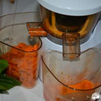Hurom 400 Pro Juicer