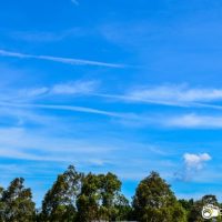 Chemtrails Australia