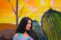 Modelling with graffitti in Newtown