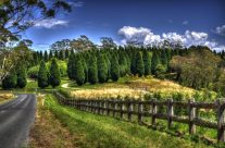 Range Road Mittagong