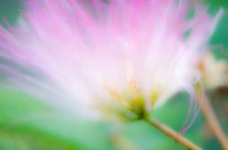 Movement and out of focus effect
