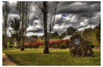 Picton Botanic Gardens
