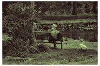 Picton Botanic gardens