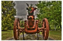 Flower Cannon