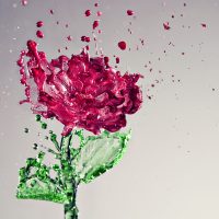 A Set of Imaginative Images to Spark Your Creativity