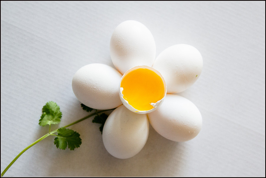 Photograph Daisy by Kunal Prasad on 500px