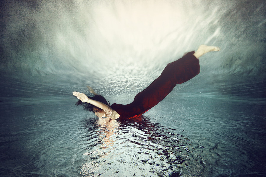 Photograph Fly by Tina Terras & Michael Walter on 500px