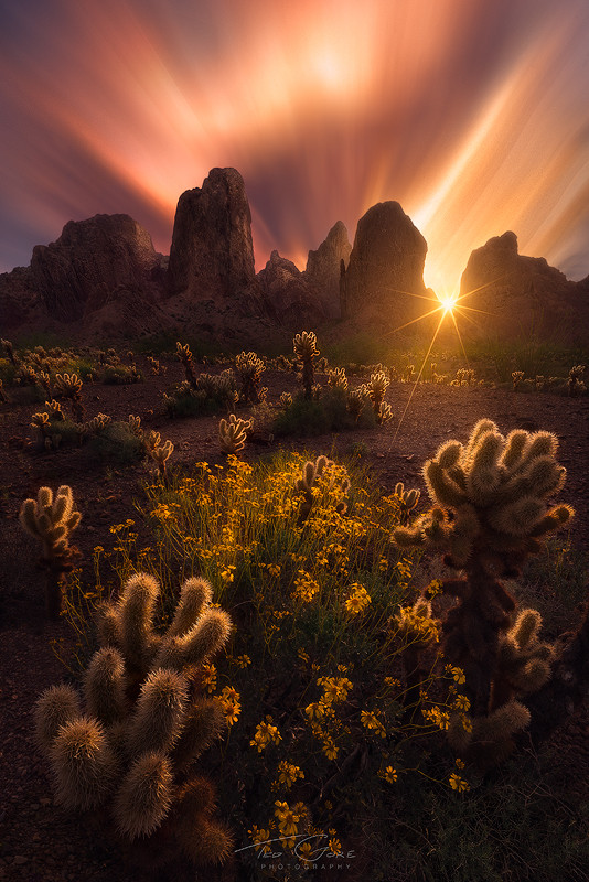 Photograph Mingle by Ted Gore on 500px