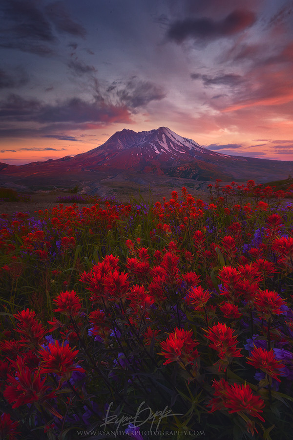 Photograph Still Life, Life Still by Ryan Dyar on 500px
