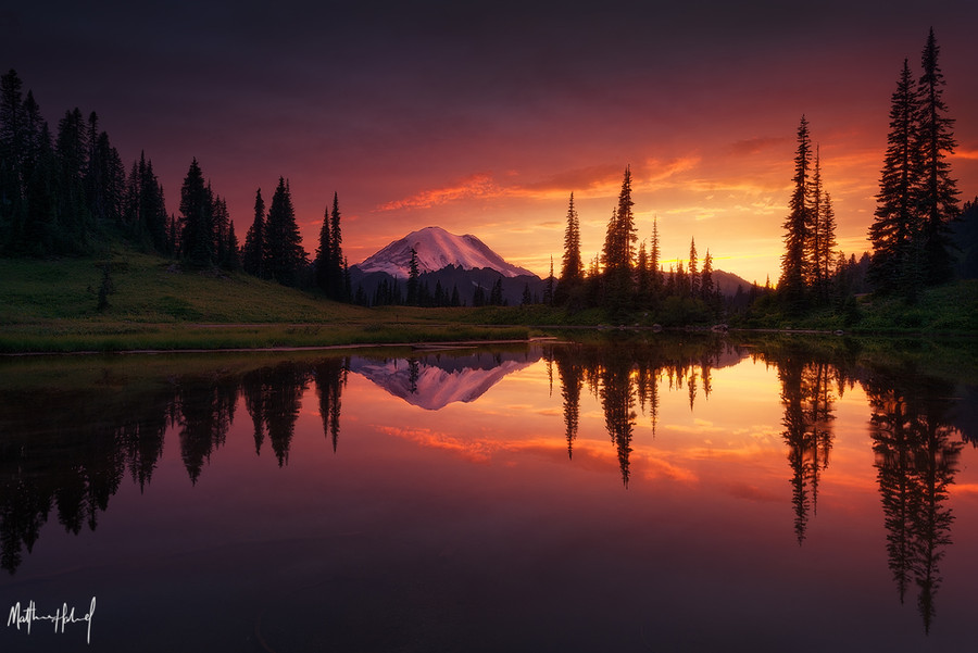Photograph Growth by Matthew Hahnel on 500px