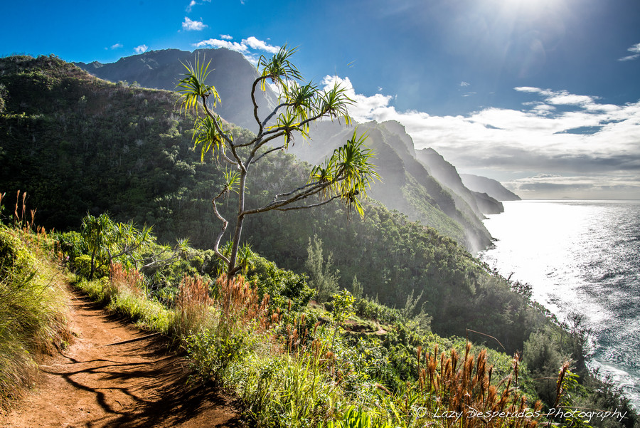 Photograph Coastline Journey by Lazy Desperados  on 500px