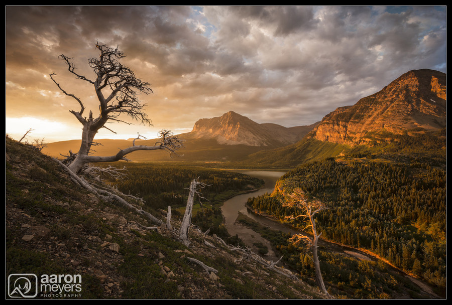 Photograph Surprise Awakening by Aaron M on 500px