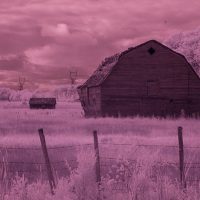 5 Creative Ways to Process Infrared Photographs in Photoshop