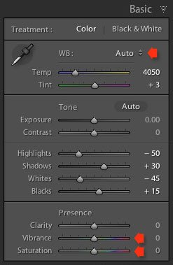 Black and white conversions in Lightroom