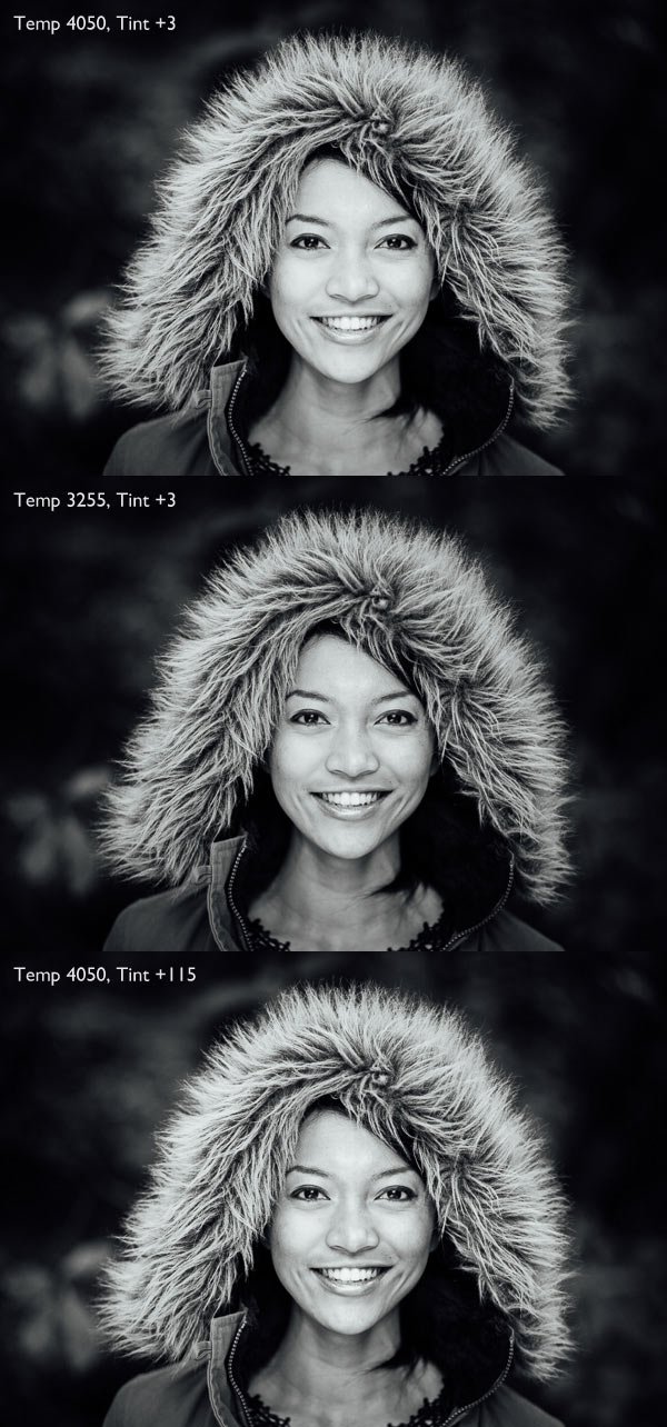 Black and white conversions in Lightroom