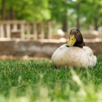 Three Exercises to Limit Yourself and Grow as a Photographer