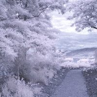 How to do Surreal Digital Infrared Photography Without Expensive Gear or Camera Conversions