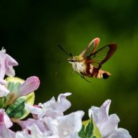 Three Uses for High ISO you Might Not Know