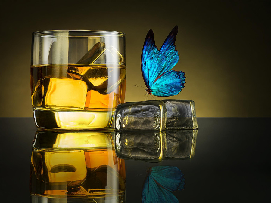 Photograph Butterfly Drink by Jackson Carvalho on 500px