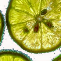 How to Photograph Beverages â€“ Video Tips