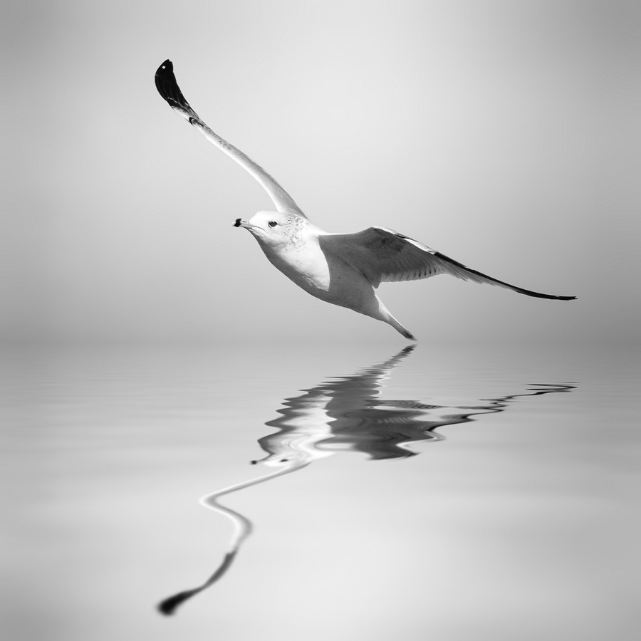 Photograph Positive Vibes by Josep Sumalla on 500px