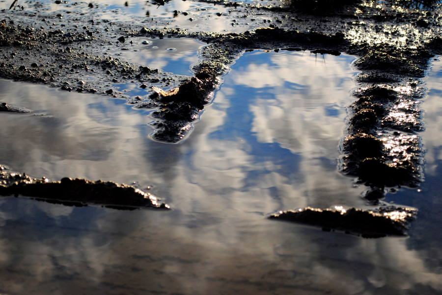 Photograph My Sky... by Ewa Frye on 500px