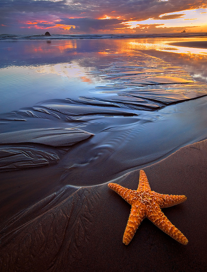 Photograph Beach Bum by Rick Lundh on 500px