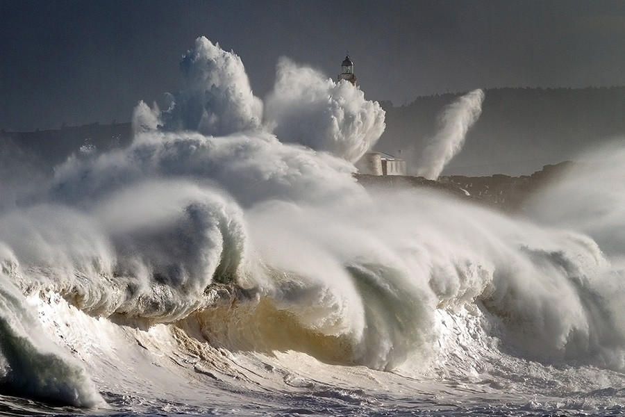 Photograph Fury by Oscar Martinez Diego on 500px
