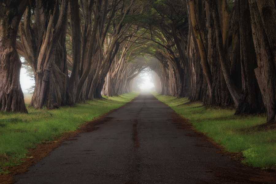 Photograph Foggy Road by Casey McCallister on 500px