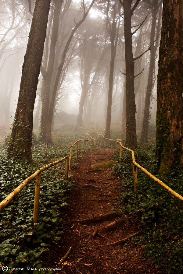 Photograph The pathway by Jorge Maia on 500px