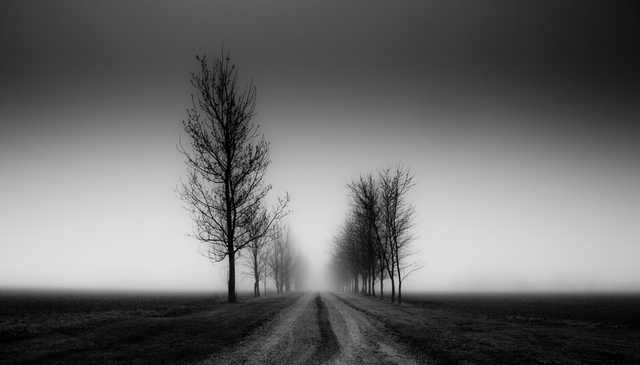 Photograph Pathway by Derek Toye on 500px