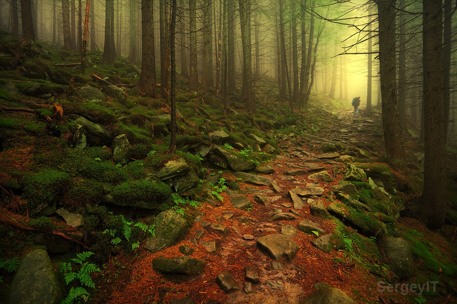 Photograph foggy mountain forest and man by Sergiy Trofimov on 500px