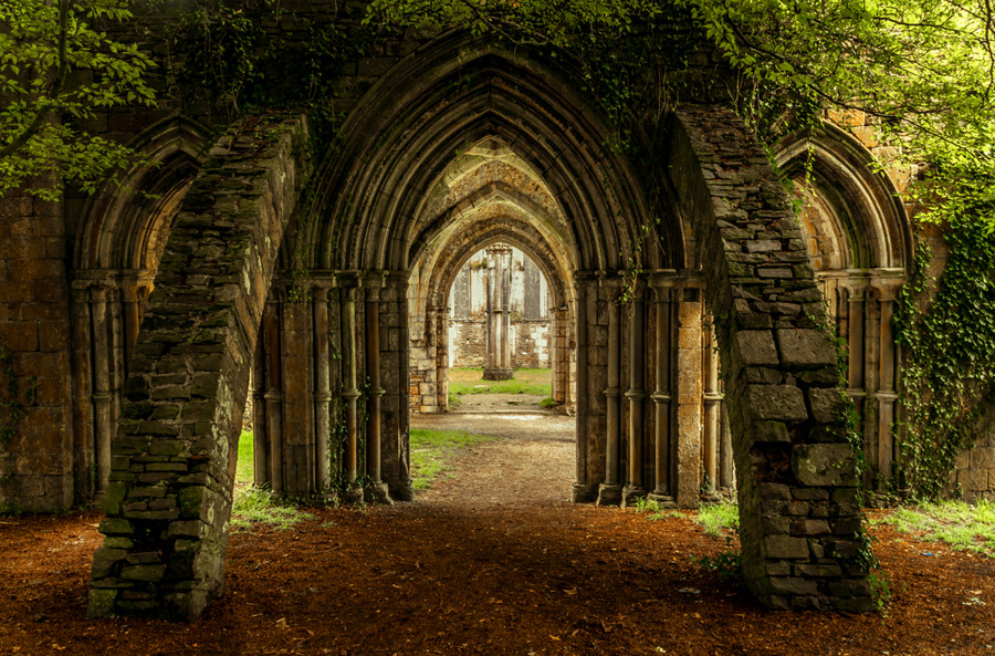 Photograph Margam Abbey Ruins by Linda Bullock on 500px