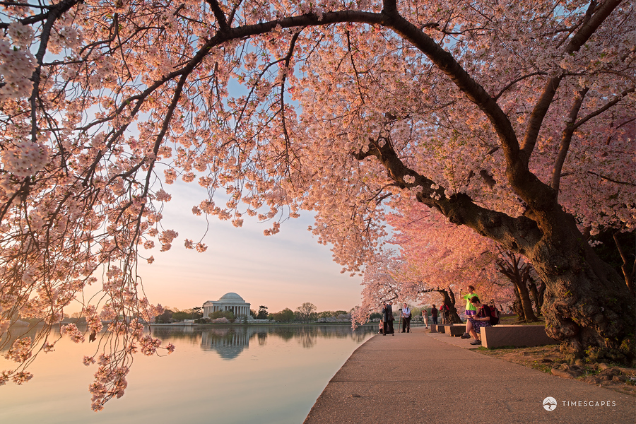 Photograph Spring Awakening by Bernard Chen on 500px