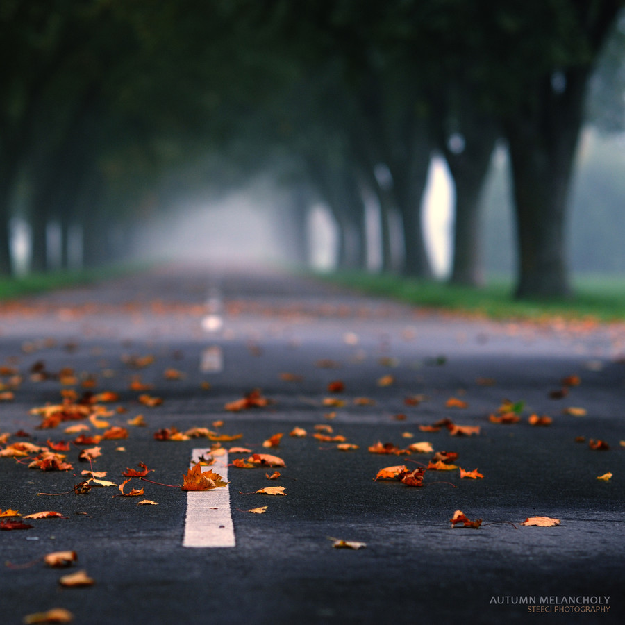 Photograph Autumn Melancholy by Andreas Steegmann on 500px