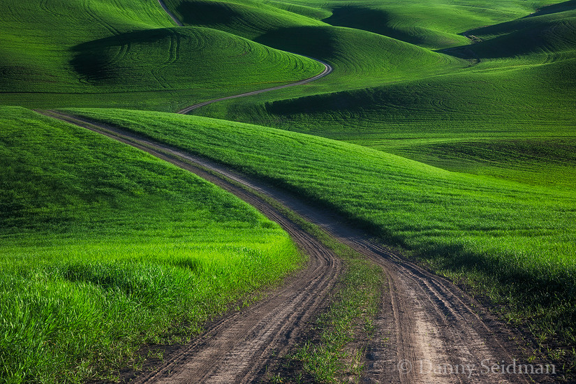 Photograph Winding Road by Danny Seidman on 500px