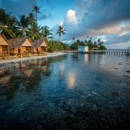 Weekly Photography Challenge Reflections