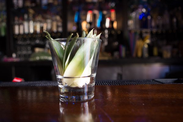 Hacking_Photography_cocktail_photos-8705